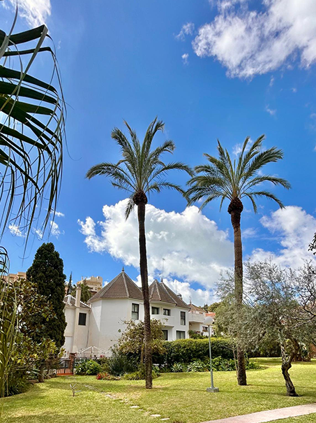Gestión-Inmobiliaria-Emy_Galería-8